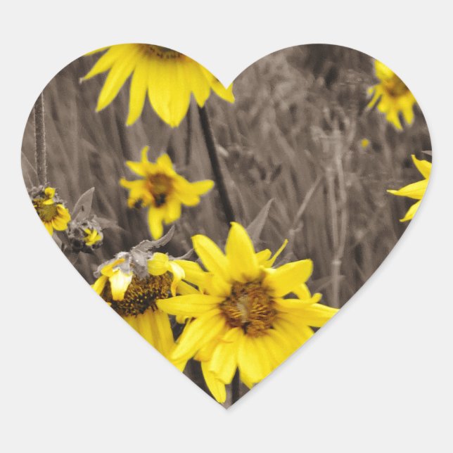 Sunflower in the Rocky Mountain Heart Sticker (Front)