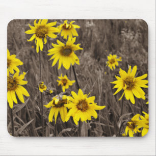 Sunflower in the Rocky Mountain Mouse Pad