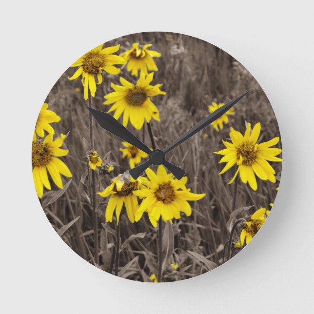 Sunflower in the Rocky Mountain Round Clock (Front)