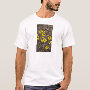 Sunflower in the Rocky Mountain T-Shirt