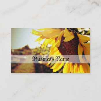 Sunflower In The Sun Business Card by fotoplus at Zazzle
