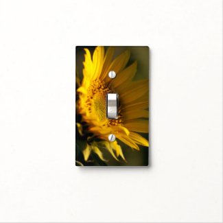 Sunflower In Warm Light Close-Up Photograph Light Switch Cover sunflower, photography, interior design, light switch cover, flowers,