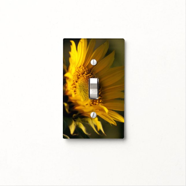 Sunflower In Warm Light Close-Up Photograph Light Switch Cover (In Situ)