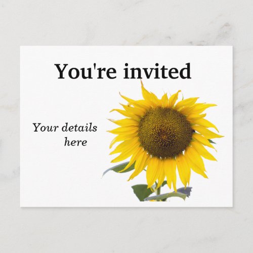 Sunflower invitation Postcard