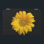 Sunflower ipacna iPad mini cover<br><div class="desc">Sunflower - A single sunflower photographed against a black background.

© Alan Harman Photography 2013. All Rights Reserved.
www.alanharmanphotography.com

230318
ipad cover</div>