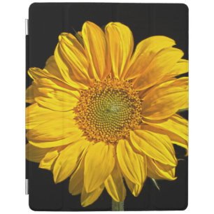 Sunflower ipacna iPad smart cover