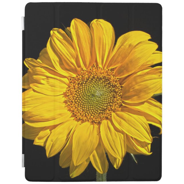 Sunflower ipacna iPad smart cover (Front)