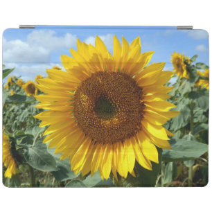 Sunflower iPad Cover