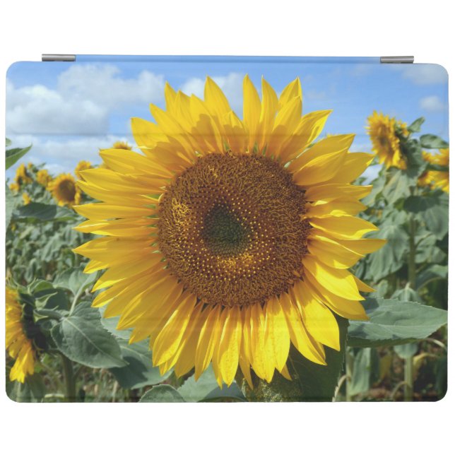 Sunflower iPad Cover (Horizontal)