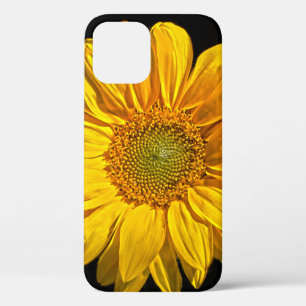 Sunflower iphcnm iPhone 12 case