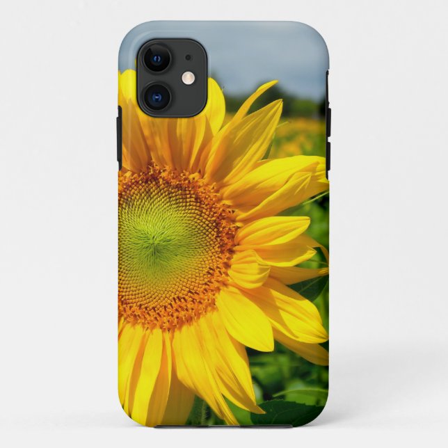 Sunflower iPhone 5 case (Back)