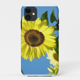 Sunflower iPHONE 5 covers Yellow Sun Flowers