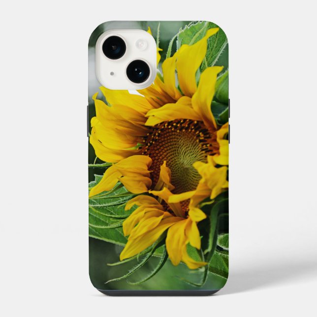 Sunflower  iphone case (Back)