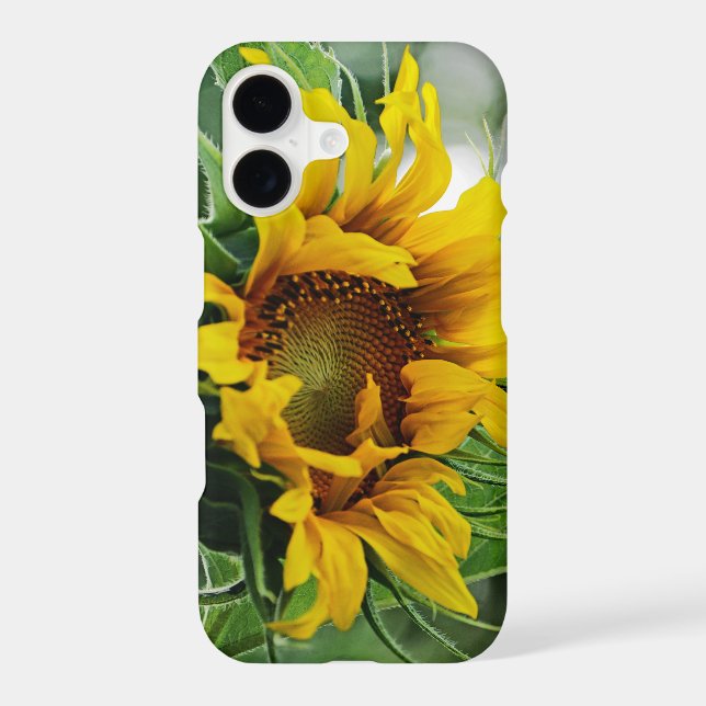 Sunflower Iphone Case (Back)