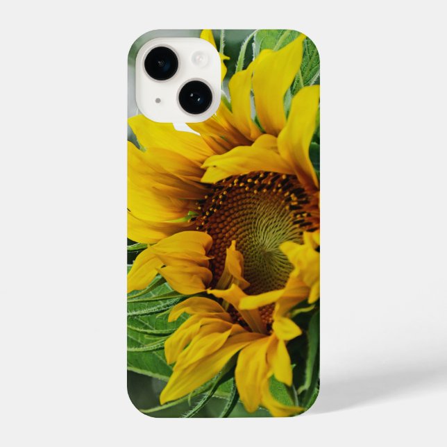 Sunflower iPhone Case (Back)