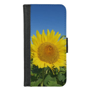 sunflower iPhone ,Plus, Wallet Case,colorful