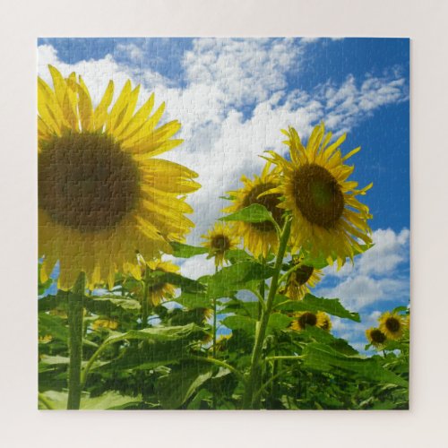 Sunflower Jigsaw Puzzle