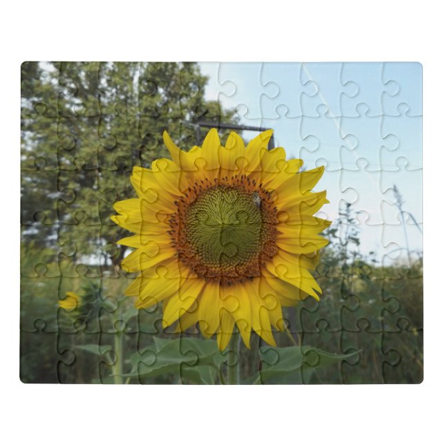 sunflower jigsaw puzzle (Puzzle Horizontal)