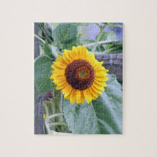 sunflower jigsaw puzzle