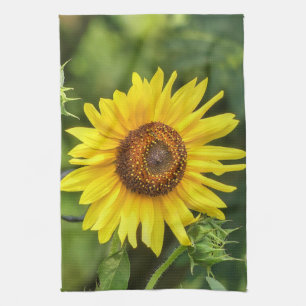 Sunflower kitchen towel