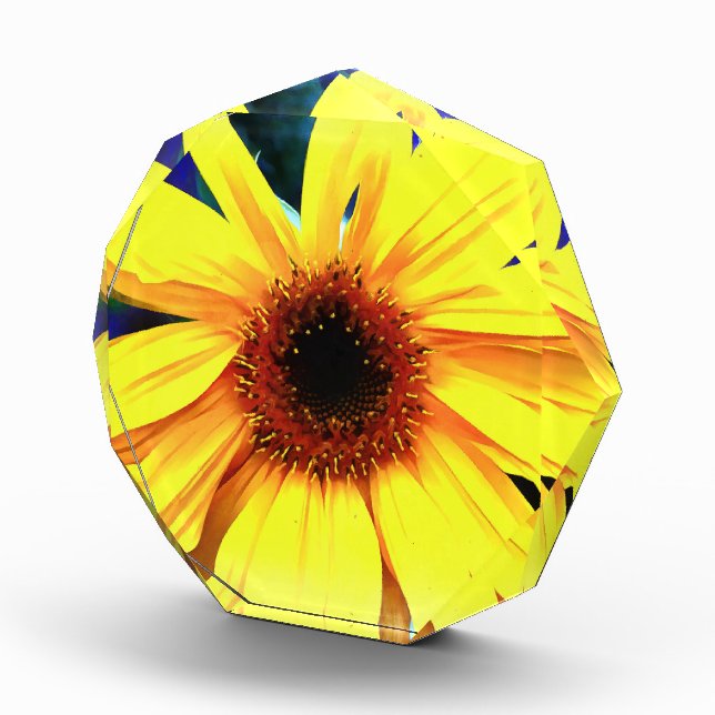 Sunflower Large Acrylic Octagon Award (Right)