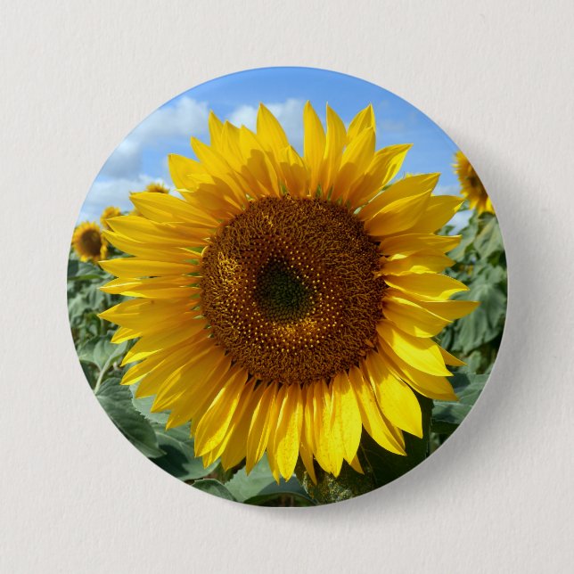 Sunflower Large Round Badge Button (Front)