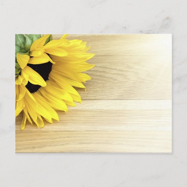 Sunflower laying on a wooden table postcard (Front)