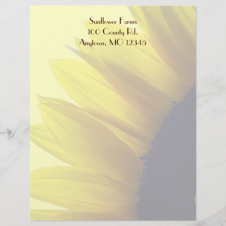 Sunflower Letterhead | Zazzle