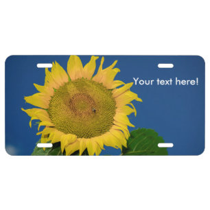 Sunflower License Plate