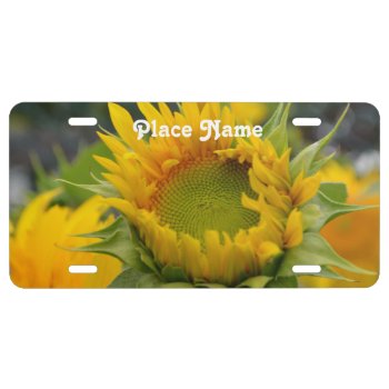 Sunflower License Plate by GoingPlaces at Zazzle