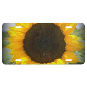 Sunflower License Plate