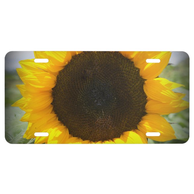 Sunflower License Plate (Front)