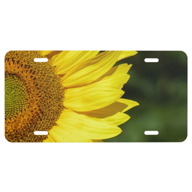 Sunflower  license plate (Front)