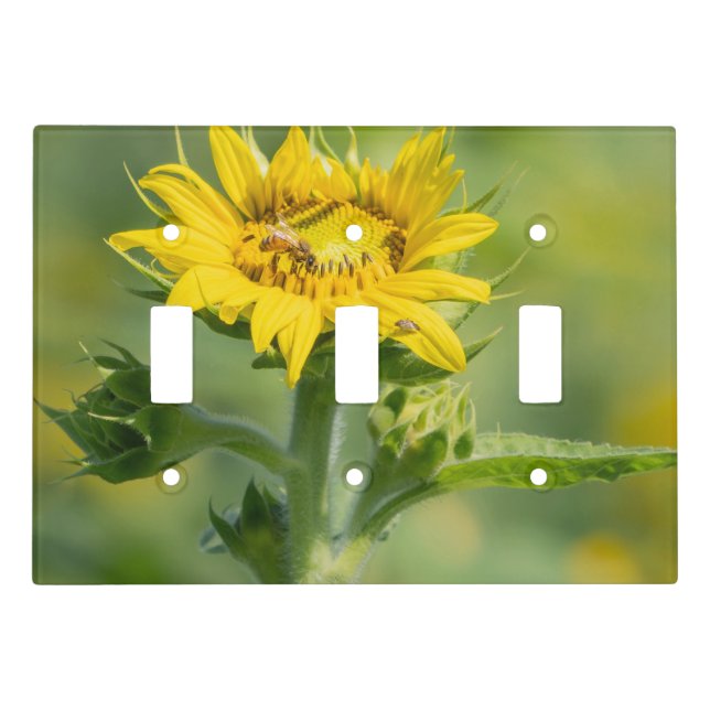 Sunflower  light switch cover (Front)
