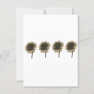 Sunflower Live, Laugh, Love Postcard