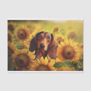 Sunflower Love, Brown Long Haired Dachshund Tissue Paper