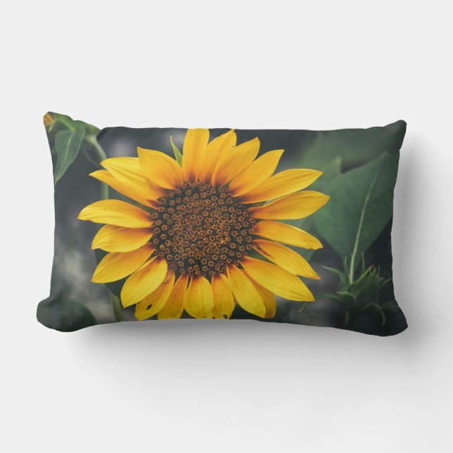 sunflower lumbar pillow (Front)