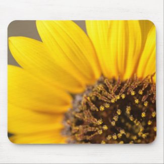 Sunflower Macro Photography Mouse Pad