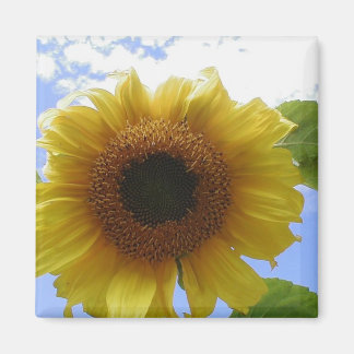 Sunflower Magnet