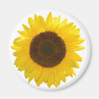 Sunflower Magnet