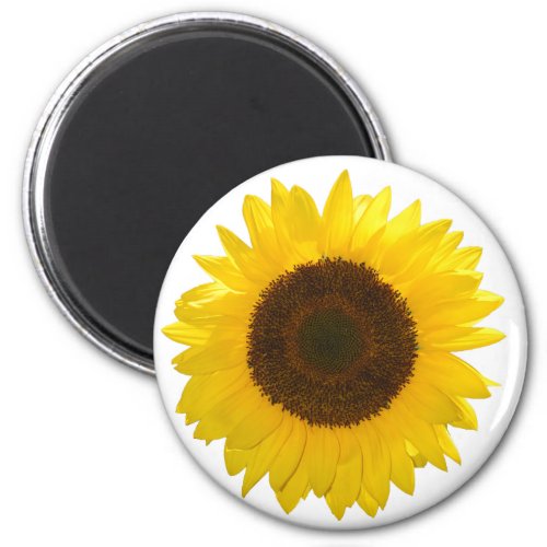 Sunflower Magnet