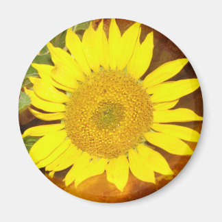 Sunflower Magnet