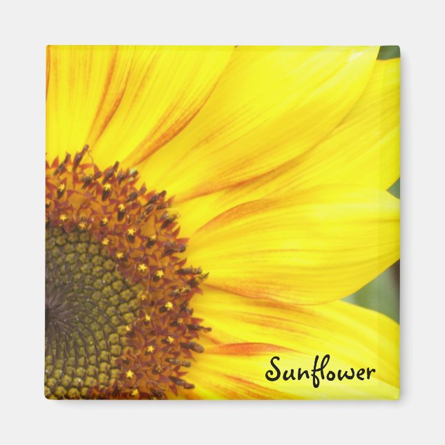 Sunflower Magnet (Front)
