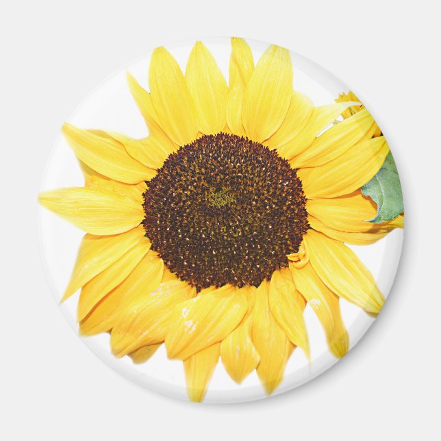 SunFlower Magnet (Front)