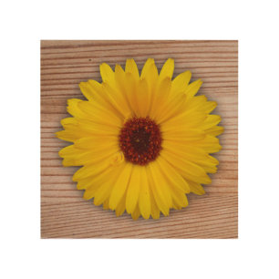 Sunflower Marigold on Rustic Wooden Boards Wood Wall Art