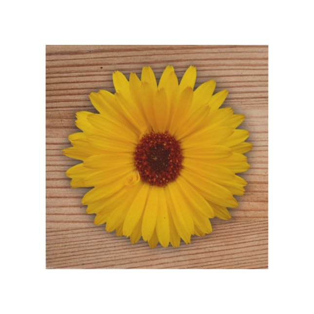 Sunflower Marigold on Rustic Wooden Boards Wood Wall Art (Front)