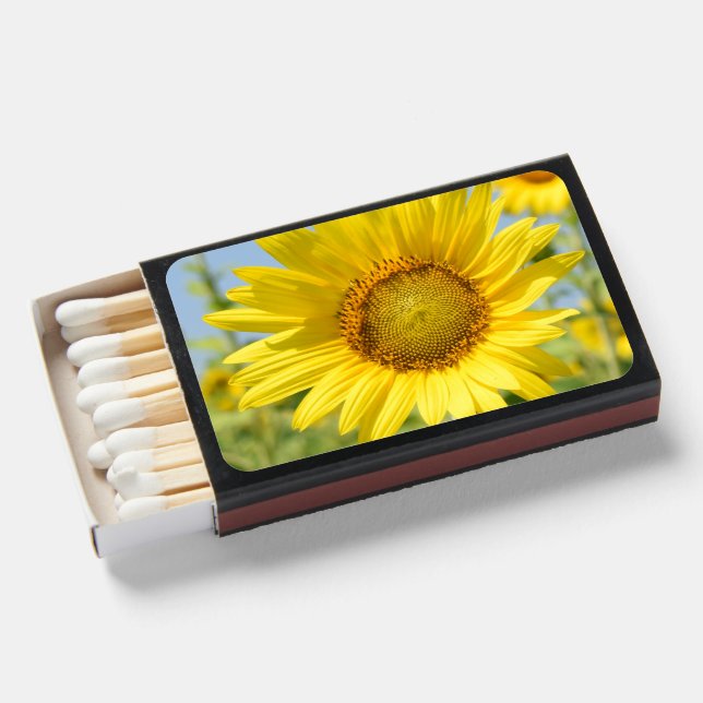 Sunflower Matchboxes (Front Open)