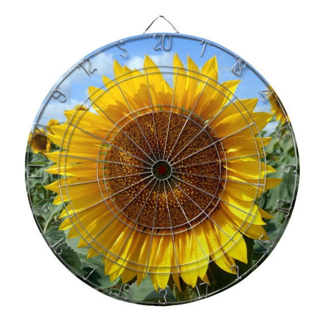 Sunflower Metal Cage Dartboard (Front)