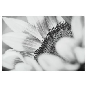 Sunflower metal print
