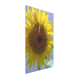 Sunflower Metal Wall Art, 20" x 24" Print